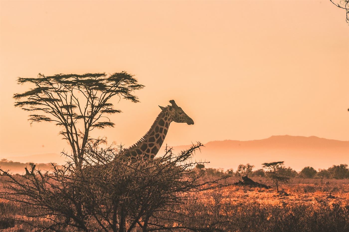 African travel and culture