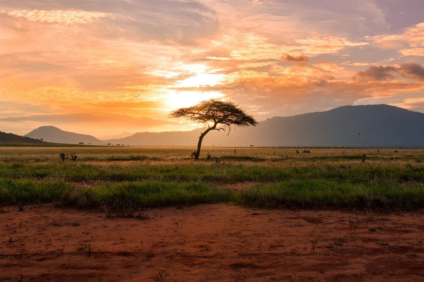 African adventure trails