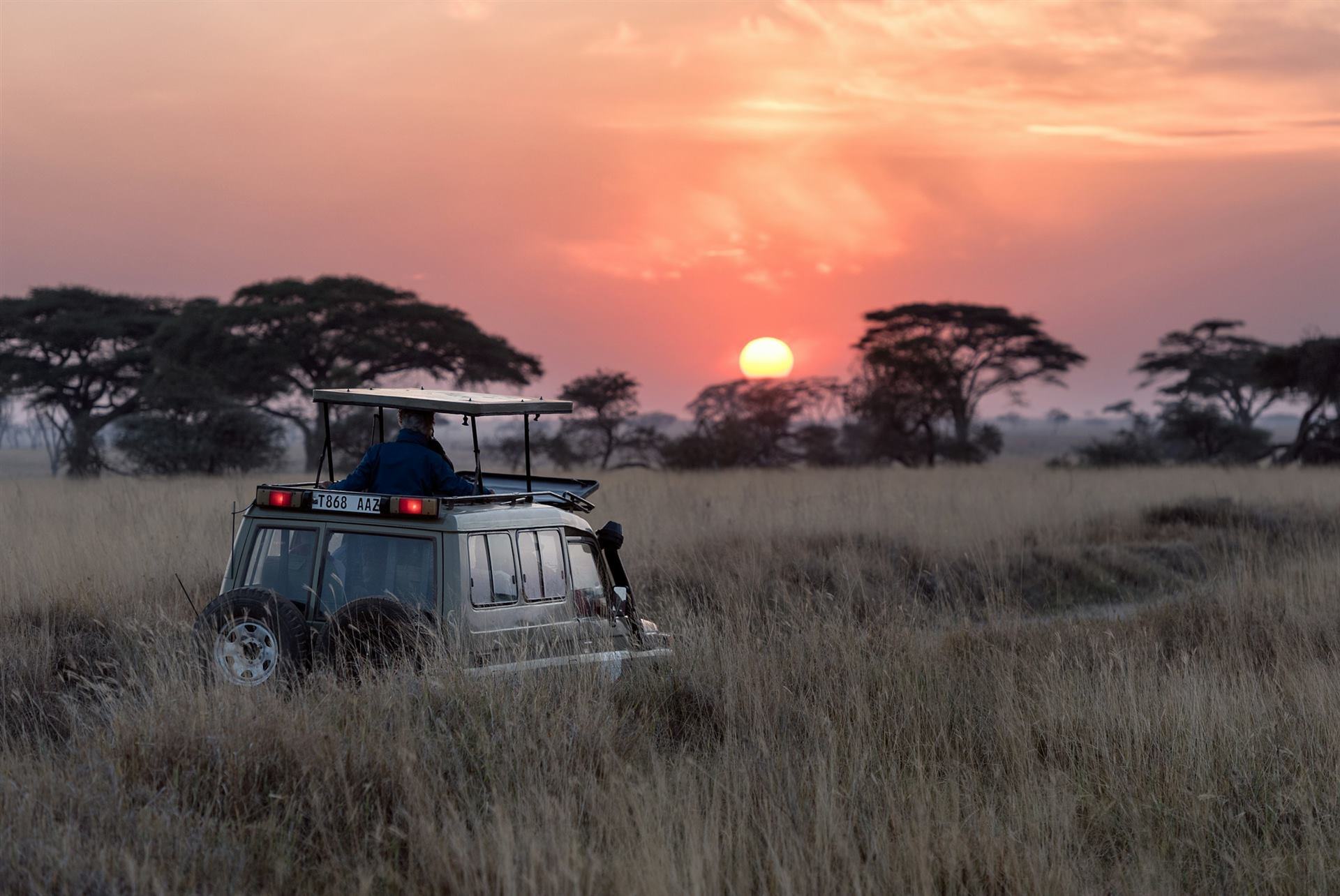 African safari landscape